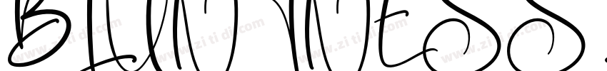 BLUNTNESS Regular字体转换